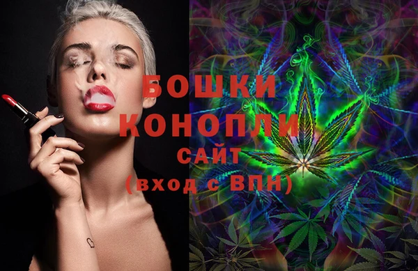 индика Балабаново