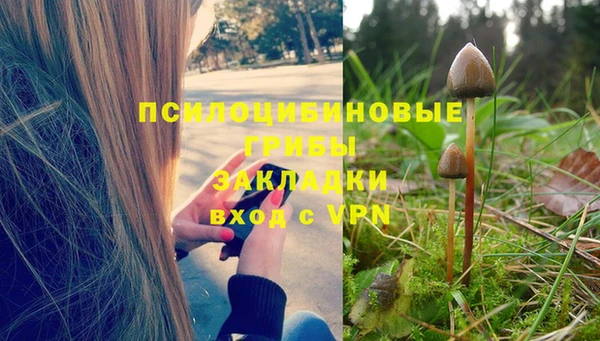 индика Балабаново